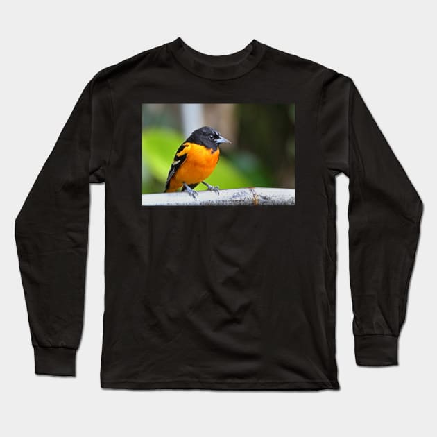 Baltimore Oriole Long Sleeve T-Shirt by Carole-Anne